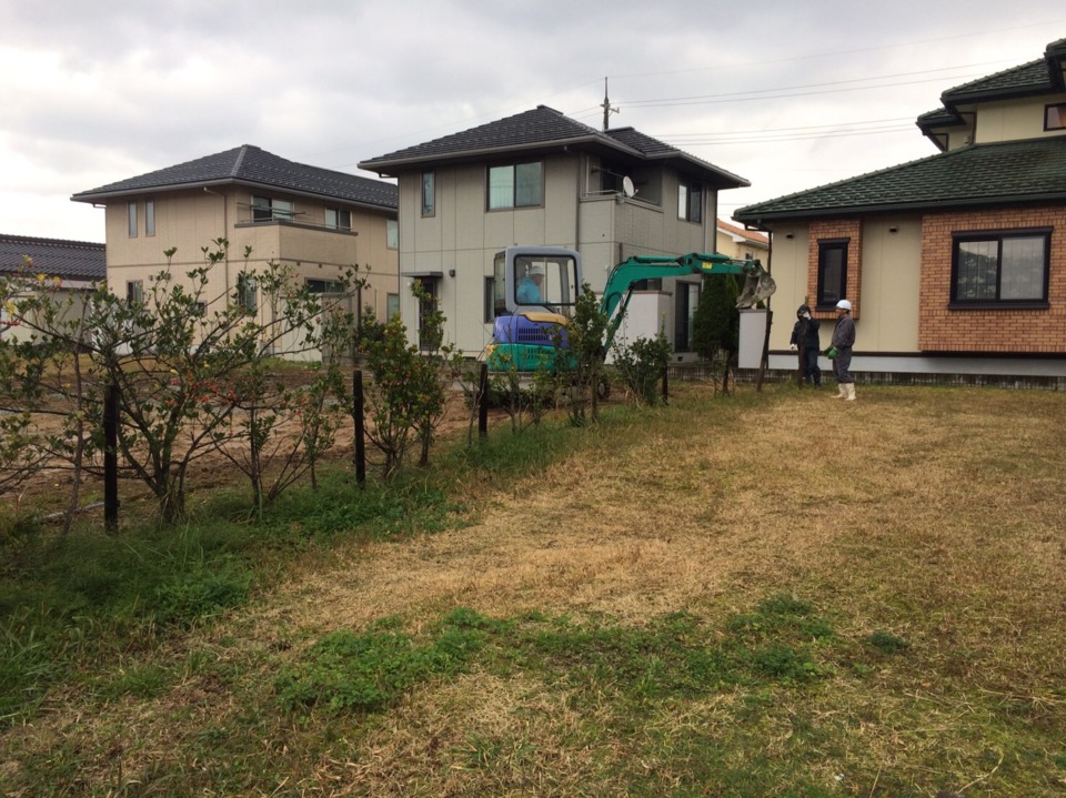 境界の樹木撤去